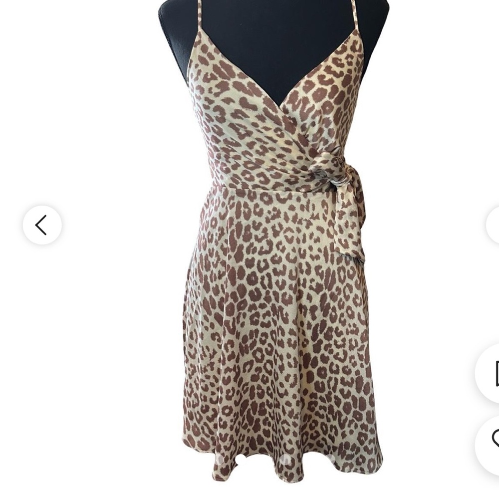 Express Leopard Print Dress